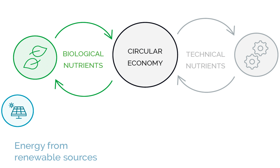 Circular economy illustration